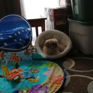 Meet your Posher, Brooklyn